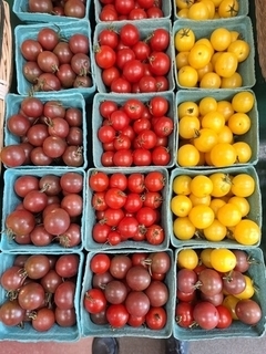 Tomato - Grape Orange/Red/Purple (LOCAL)